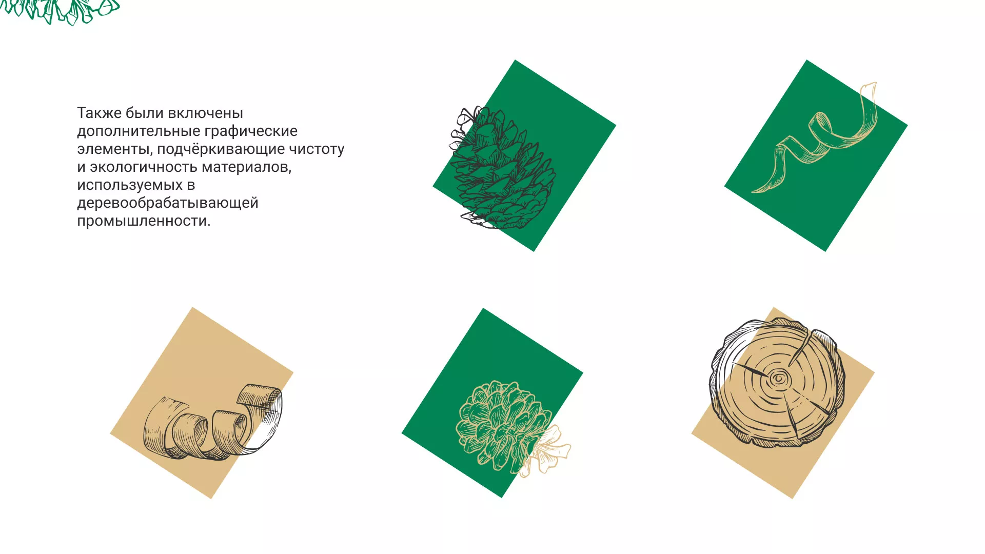 Разработка айдентики и сайта компании «Plastwood» в Махачкале