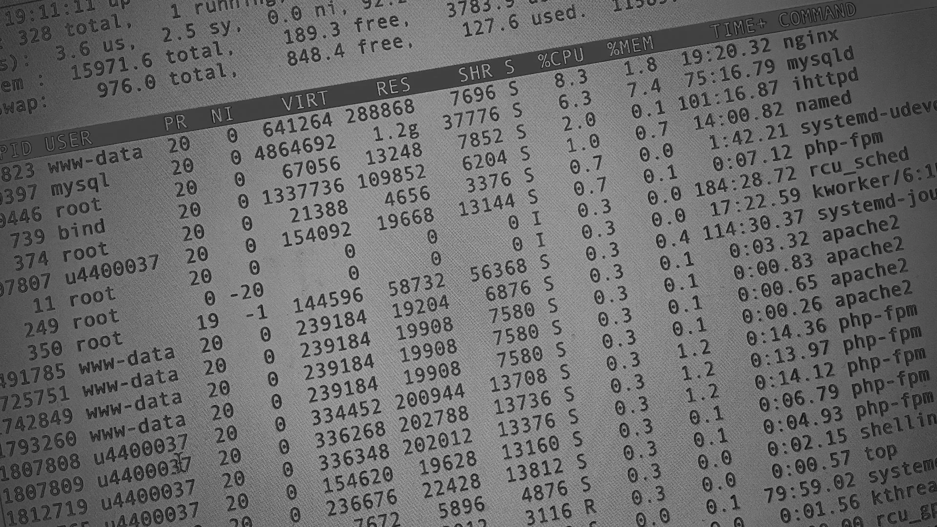 Настройка сервера в Махачкале