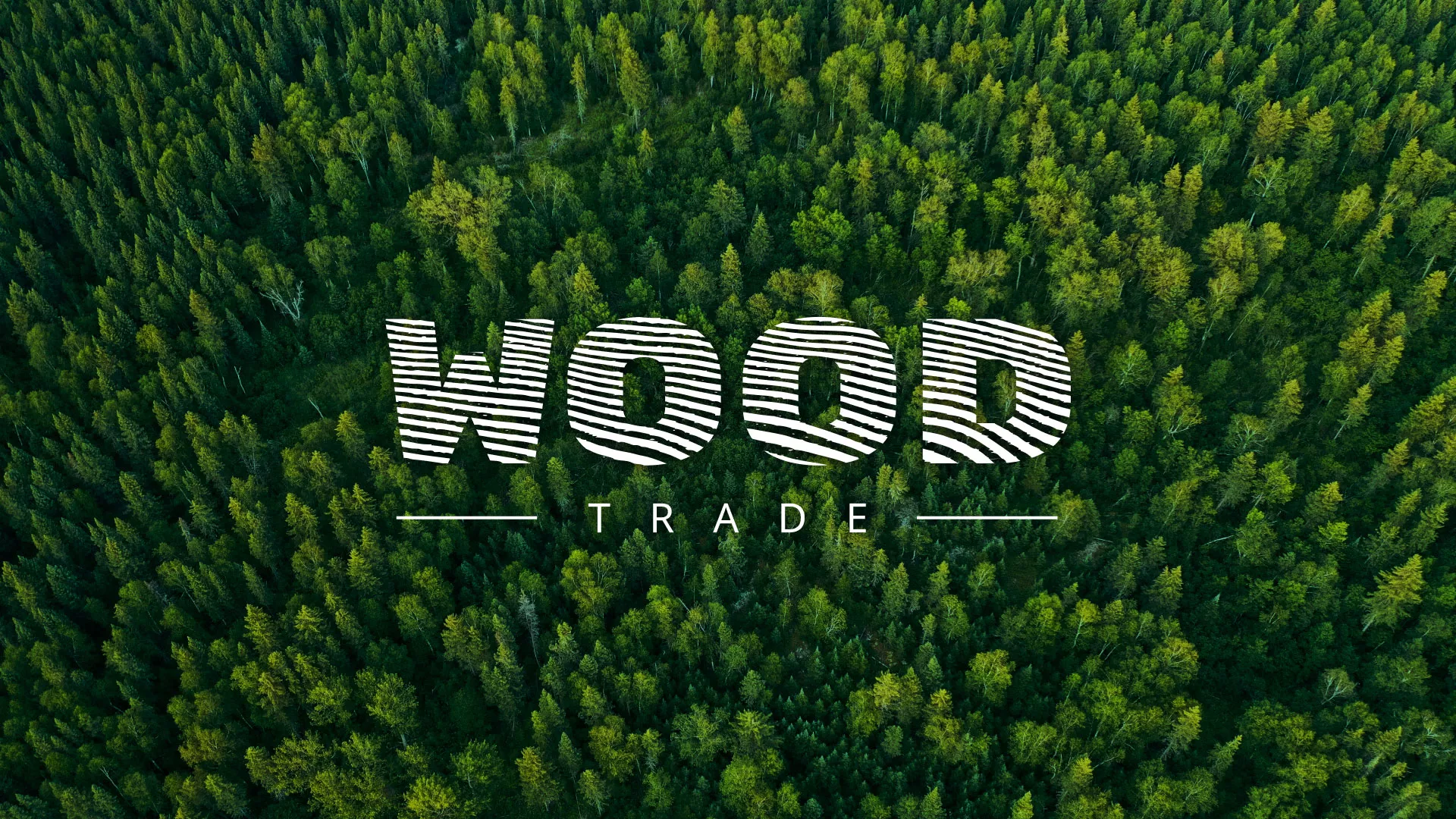 Разработка интернет-магазина компании «Wood Trade» в Махачкале
