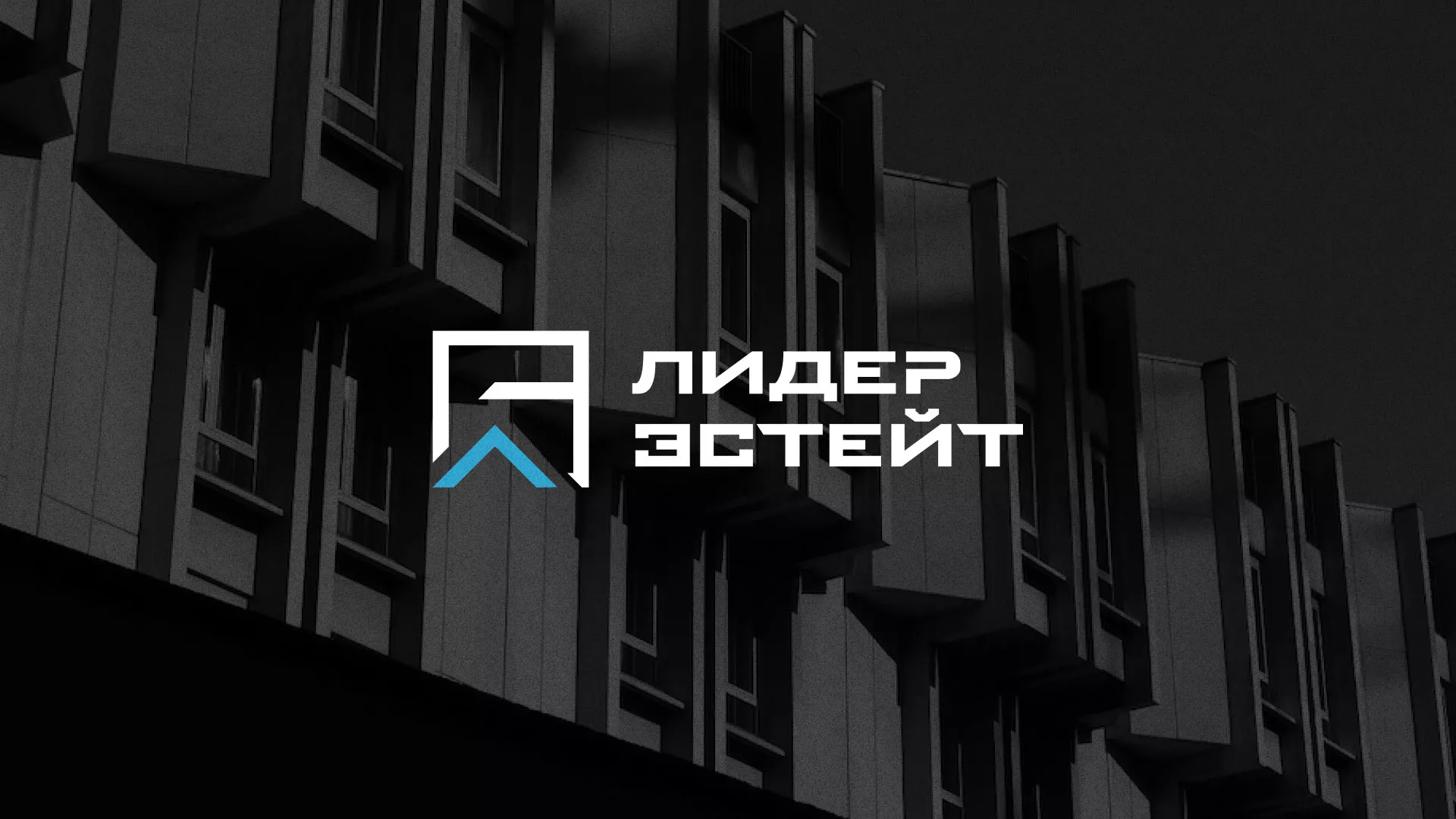 Разработка логотипа агентства недвижимости «Лидер Эстейт» в Махачкале